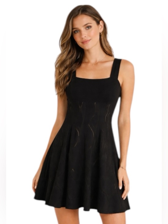 Sharon Max Dresses & Skirts - Sharag Max Black Fit & Flare Mini Dress Sleeveless Size S
